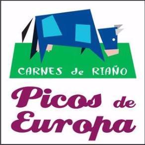 PICOS DE EUROPA Logo