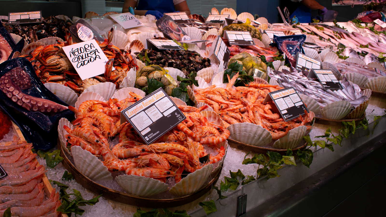 Producto fresco seleccionado especialmente para ti.