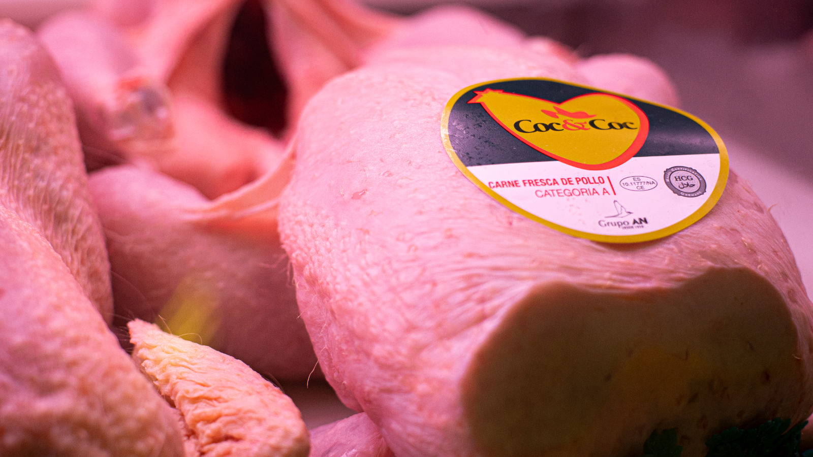 Selección de productos de alta calidad