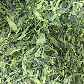 Té Verde Japan Bancha