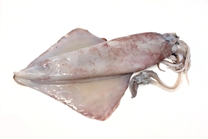 Calamar de Potera (400 Gr Aprox)